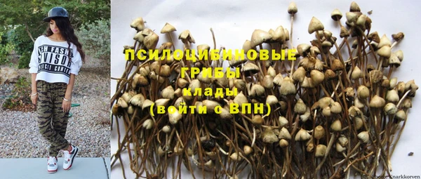 первитин Белокуриха