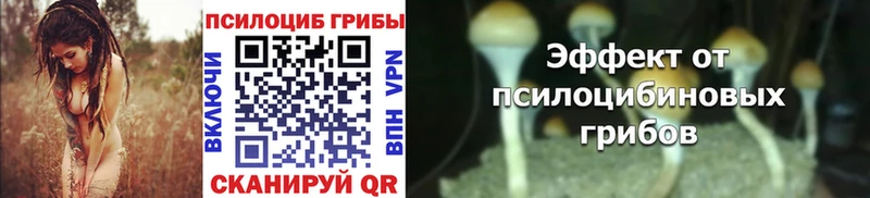 даркнет сайт Мариинский Посад Галлюциногенные грибы Psilocybine cubensis